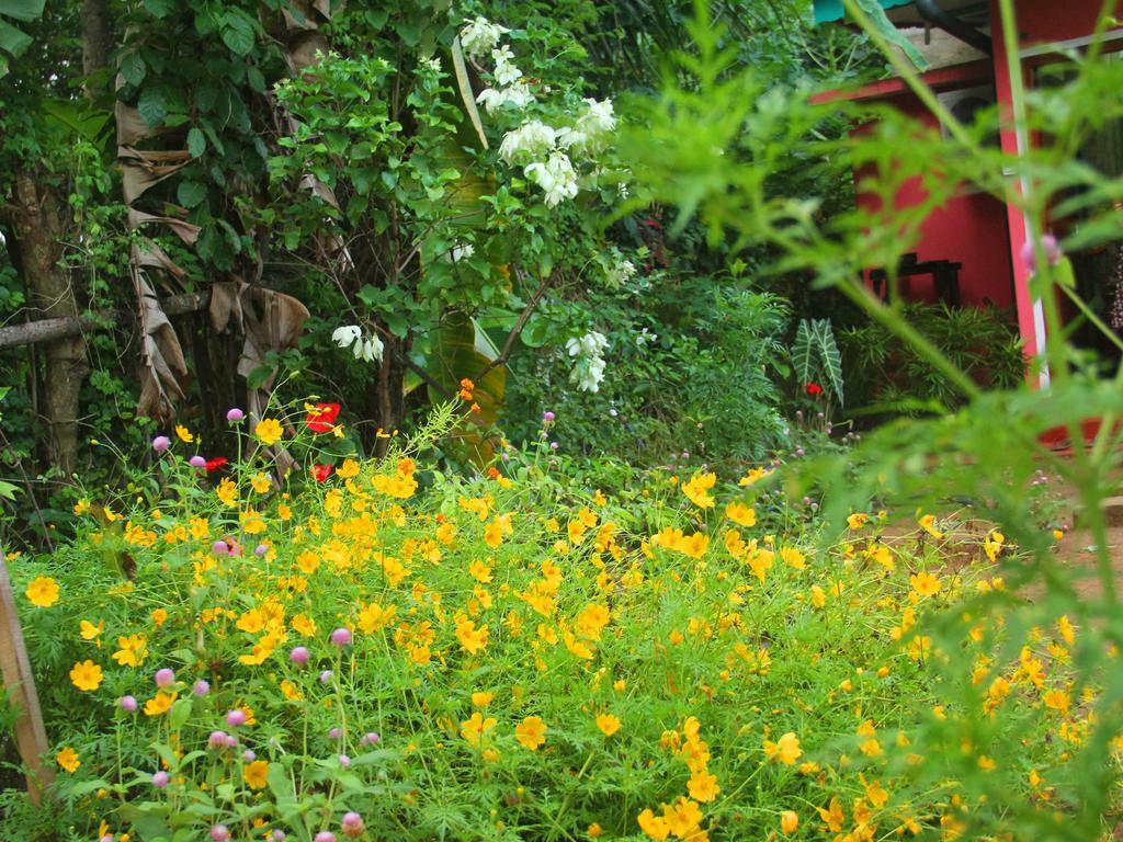 Little Pink House Appartamento Mirissa Camera foto